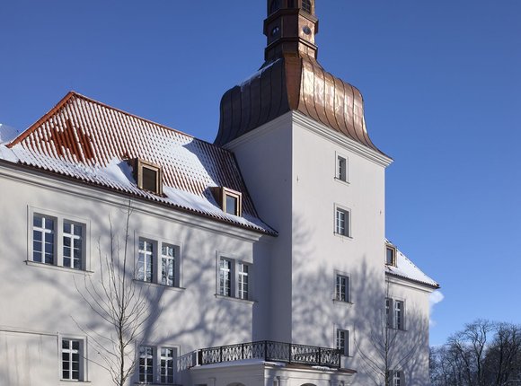 Reconstruction of the chateau, Dolní Břežany